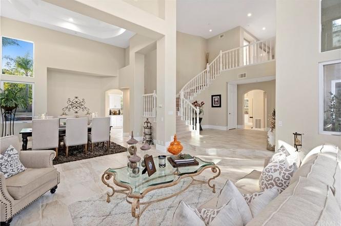 Luxury Living Room